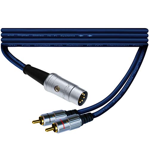5 PIN TO RCA